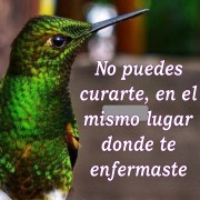 CARLOS TORRES