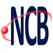 Instituto Newton C. Braga - INCB