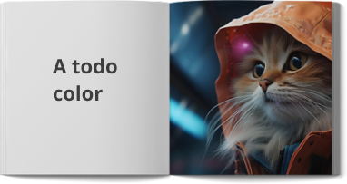 A TODO COLOR A TODO COLOR