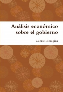 Análisis económico sobre el gobierno