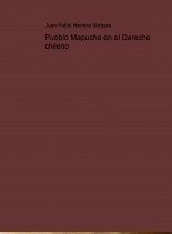 Libro Pueblo Mapuche en el Derecho chileno, autor Juan Pablo Herrera Vergara Libro Pueblo Mapuche en el Derecho chileno, autor Juan Pablo Herrera Vergara