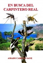 libroprimero.H_TITLE}