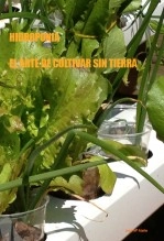 Libro HIDROPONIA ,El arte de cultivar sin tierra, autor jose Mª Alarte Duart Libro HIDROPONIA ,El arte de cultivar sin tierra, autor jose Mª Alarte Duart