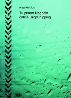 Tu primer Negocio online DropShipping