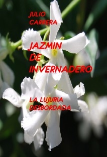 JAZMIN DE INVERNADERO