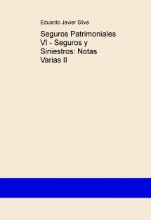 Seguros Patrimoniales VI - Seguros y Siniestros: Notas Varias II