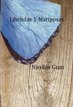 Libèlulas Y Mariposas