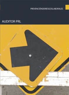 Auditor PRL