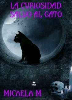 La curiosidad salvó al gato