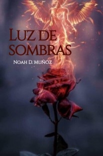 LUZ DE SOMBRAS