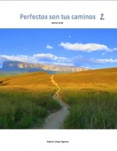 Libro Perfectos son tus caminos 2, autor Roberto Celaya Libro Perfectos son tus caminos 2, autor Roberto Celaya
