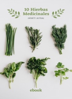 10 Hierbas Medicinales