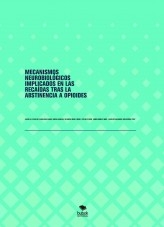 MECANISMOS NEUROBIOLÓGICOS IMPLICADOS EN LAS RECAÍDAS TRAS LA ABSTINENCIA A OPIOIDES