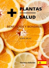 libroprimero.H_TITLE}