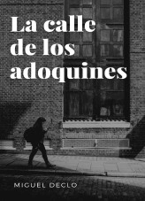 Libro La calle de los adoquines, autor Miguel Kash Libro La calle de los adoquines, autor Miguel Kash