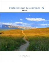 Libro Perfectos son tus caminos 3, autor Roberto Celaya Libro Perfectos son tus caminos 3, autor Roberto Celaya