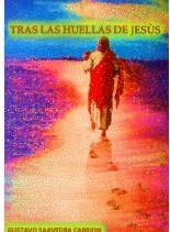 Tras las Huellas de Jesús