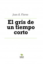 El gris de un tiempo corto