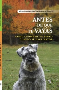 Antes de que te Vayas: Cómo Cuidar de tu perro Cuando se hace mayor